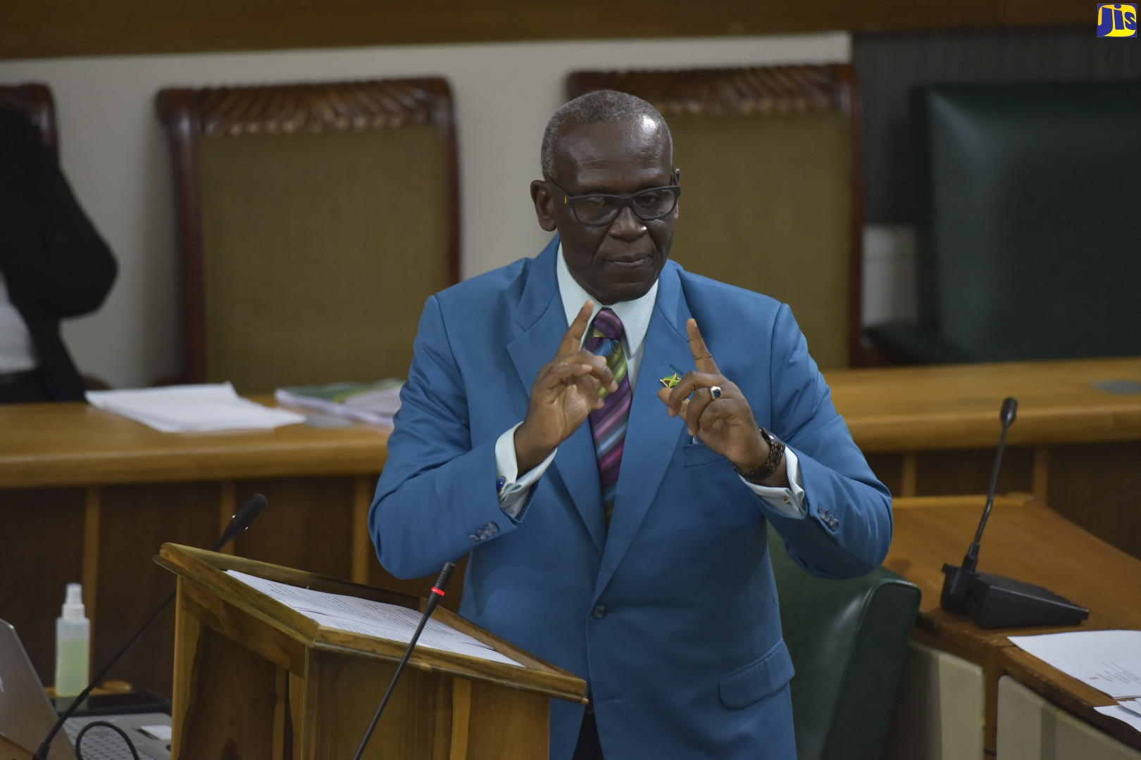 Minister of Local Government and Community Development, Hon. Desmond McKenzie, emphasises a point during his 2020/21 Sectoral Debate presentation in the House of Representatives on Tuesday (July 21), under the theme ‘Building National Resilience through Continuous Investment in Local Government’.