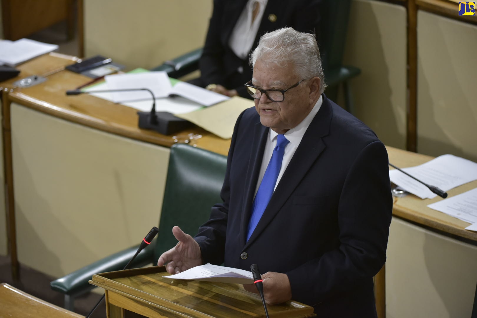 Minister of Education, Youth and Information, Hon. Karl Samuda, addresses the House of Representatives on June 30.