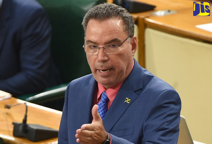 Minister without Portfolio in the Ministry of Economic Growth and Job Creation, Hon. Daryl Vaz, highlights a point while making a statement in the House of Representatives on Tuesday (July 14).