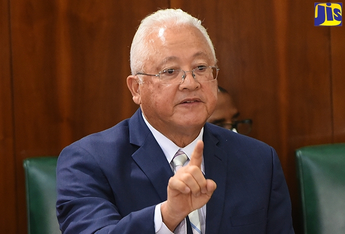 Minister of Justice, Hon. Delroy Chuck, makes a statement in the House of Representatives on Tuesday (July 14).