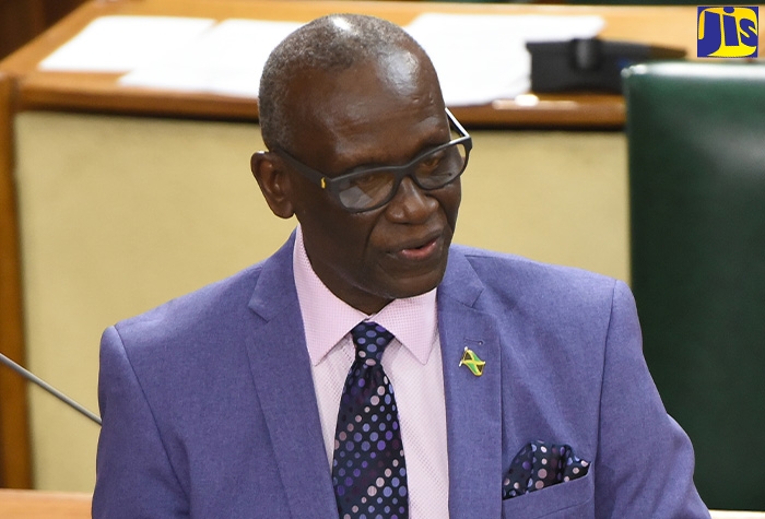 Minister of Local Government and Community Development, Hon. Desmond McKenzie, makes a statement in the House of Representatives on July 14.

