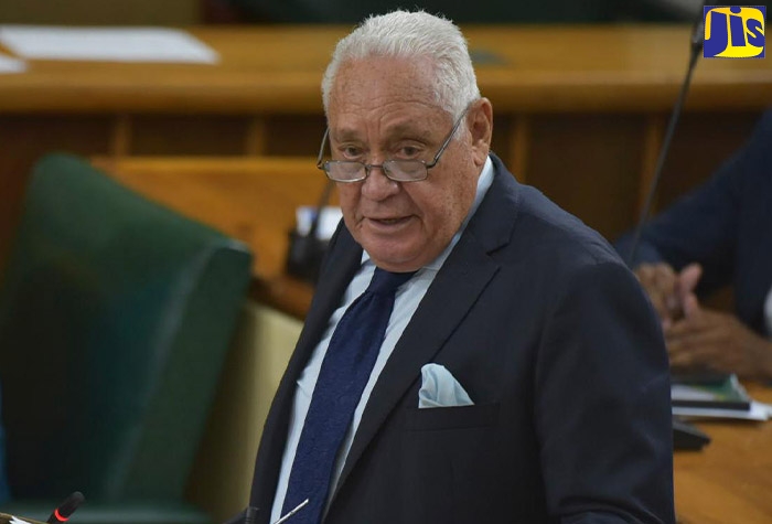 Minister of Labour and Social Security, Hon. Mike Henry makes his contribution to the 2020/21 Sectoral Debate in the House of Representatives on July 21.
