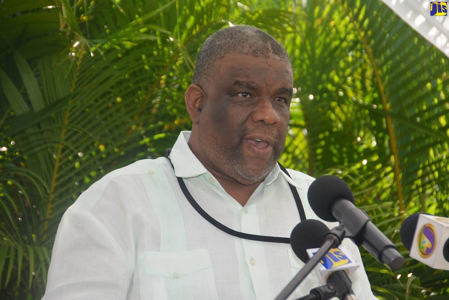 Director of the Western Regional Health Authority (WRHA), Errol Greene.