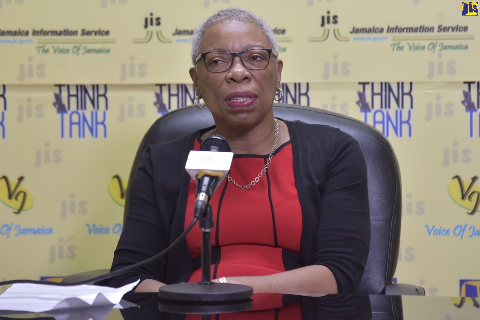 Director General, Statistical Institute of Jamaica, Carol Coy, addresses JIS Think Tank on October 13.

