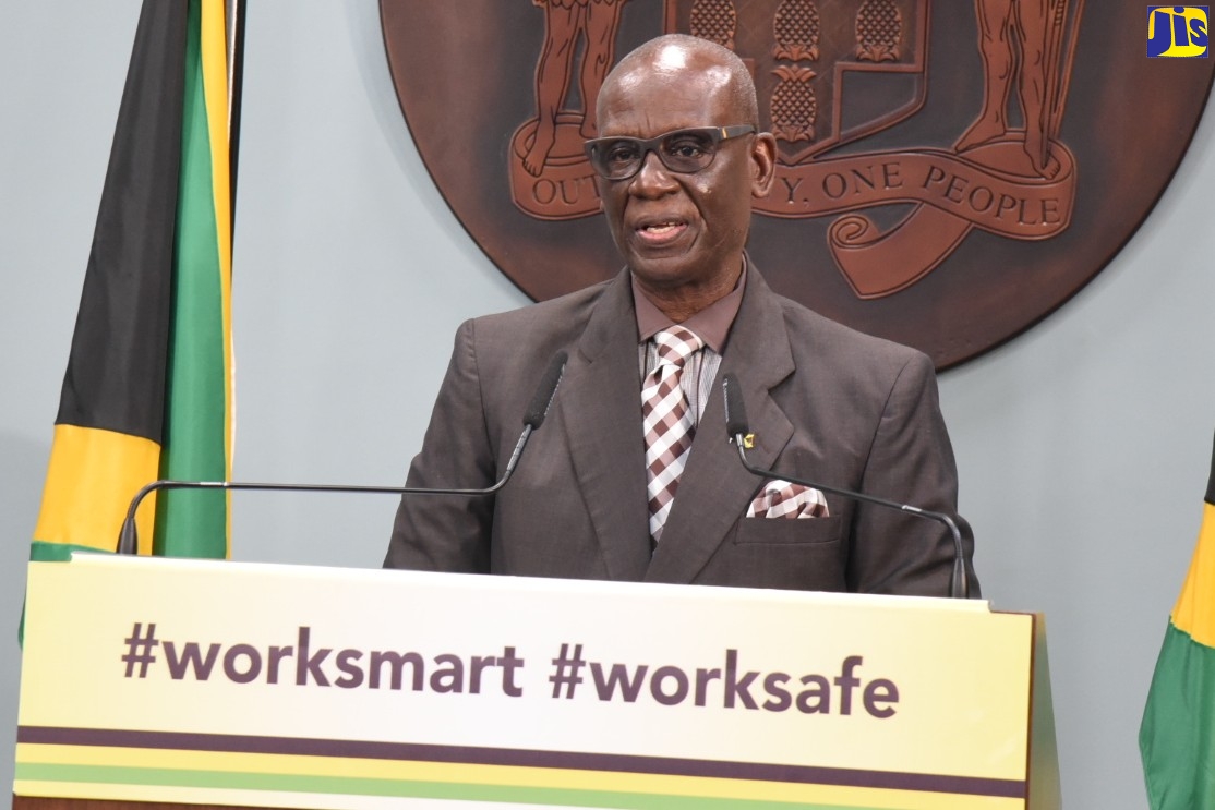 Minister of Local Government and Rural Development, Hon. Desmond McKenzie addressing a digital press briefing October 28.