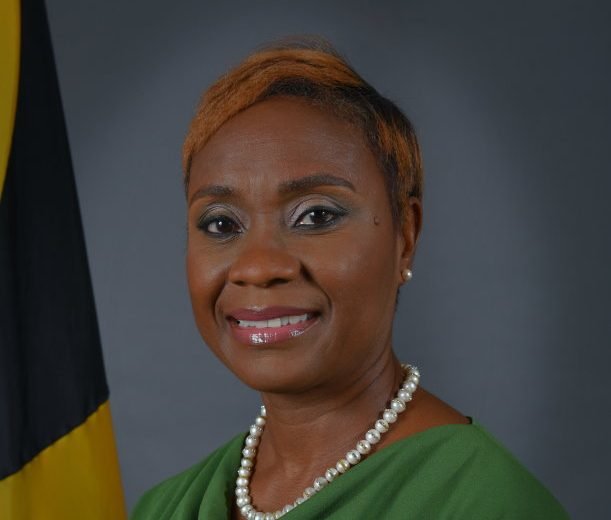 Minister of State to Focus on Family Structure and Crime