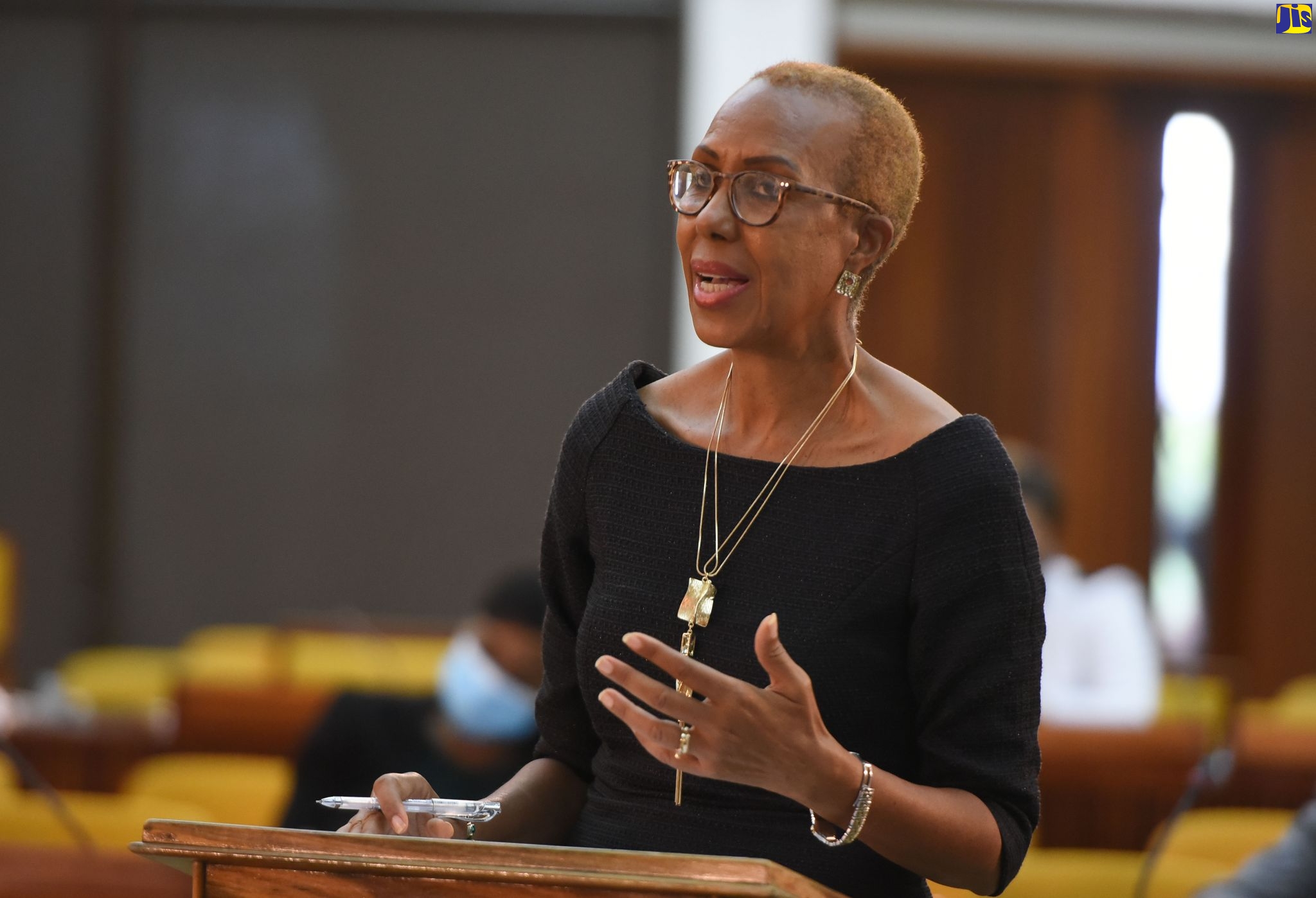Minister of Education, Youth and Information, Hon. Fayval Williams, speaks at the sitting of the House of Representatives on Tuesday (October 6).