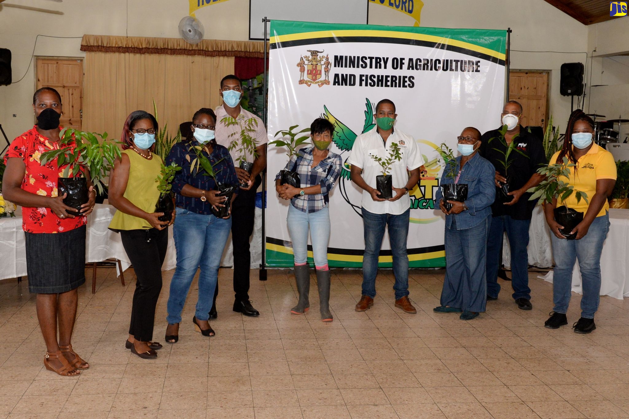 Several Mango Orchards to be Established Across The Island