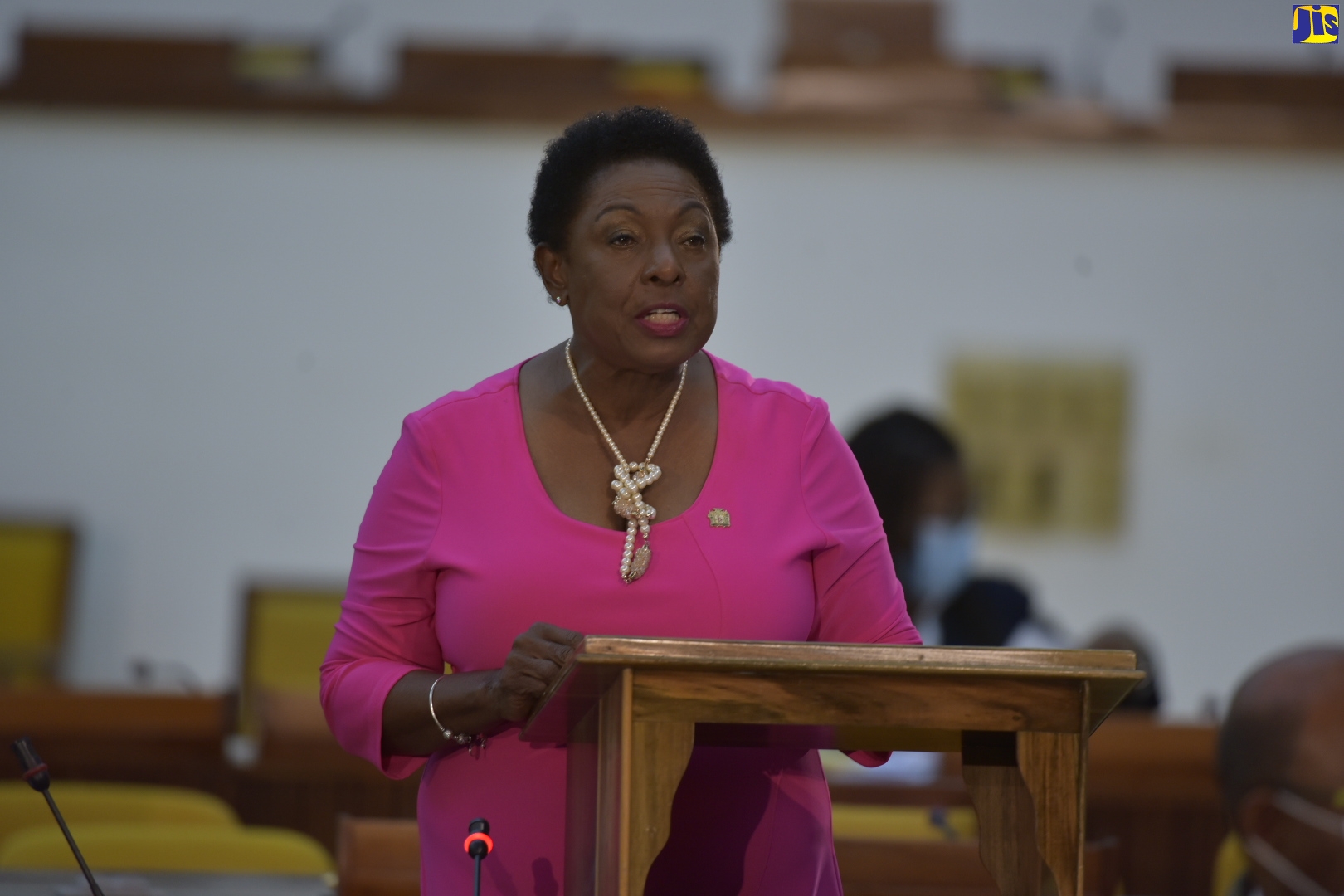 Minister of Culture, Gender, Entertainment and Sport, Hon. Olivia Grange, addresses the sitting of the House of Representatives on Tuesday (November 17).