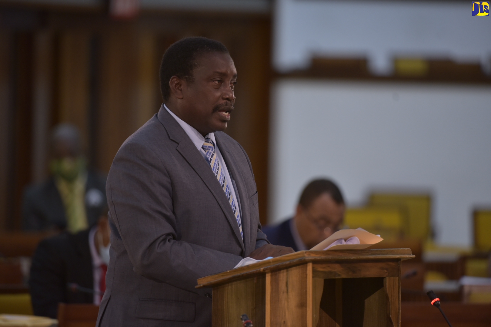 Minister of Transport and Mining, Hon. Robert Montague, addresses the House of Representatives on Tuesday (November 17), at the Jamaica Conference Centre.