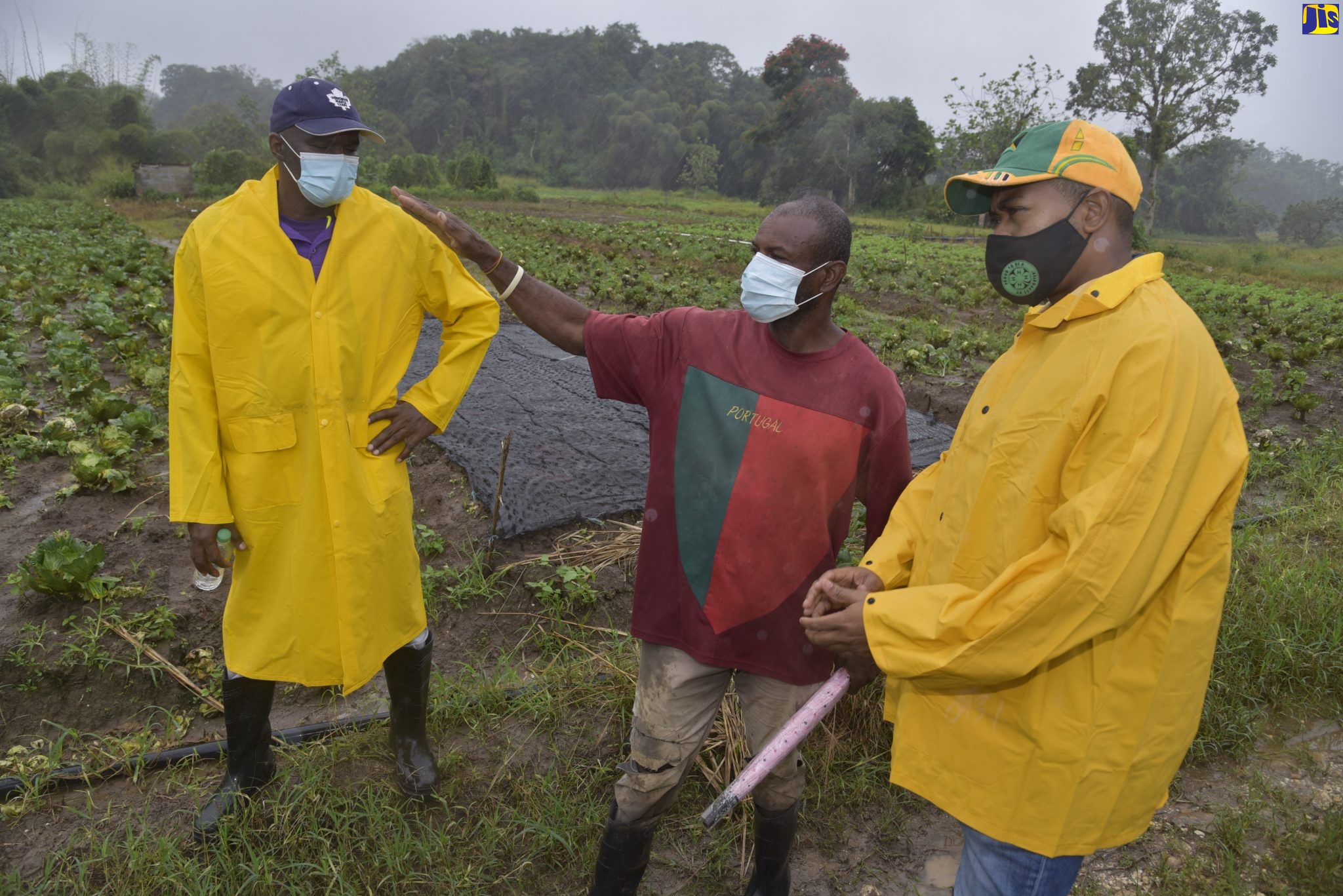 Agriculture Minister to Update House on Intervention Package for Farmers