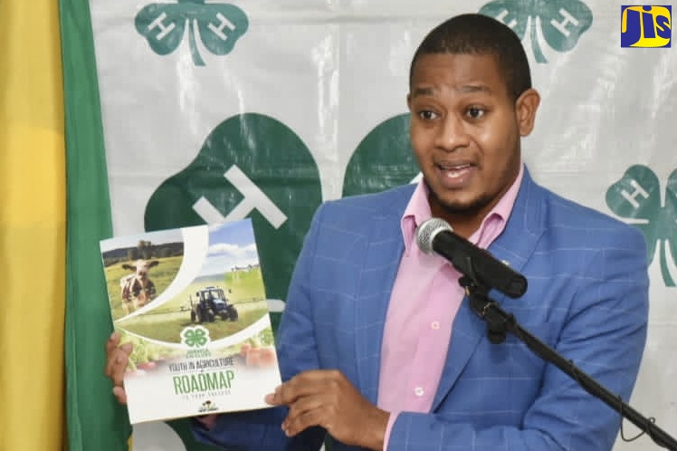 Minister: Minister of Agriculture and Fisheries, Hon. Floyd Green, speaks about the ‘Youth in Agriculture Roadmap’, at the launch on Thursday (November 12), at the Ministry in Kingston.