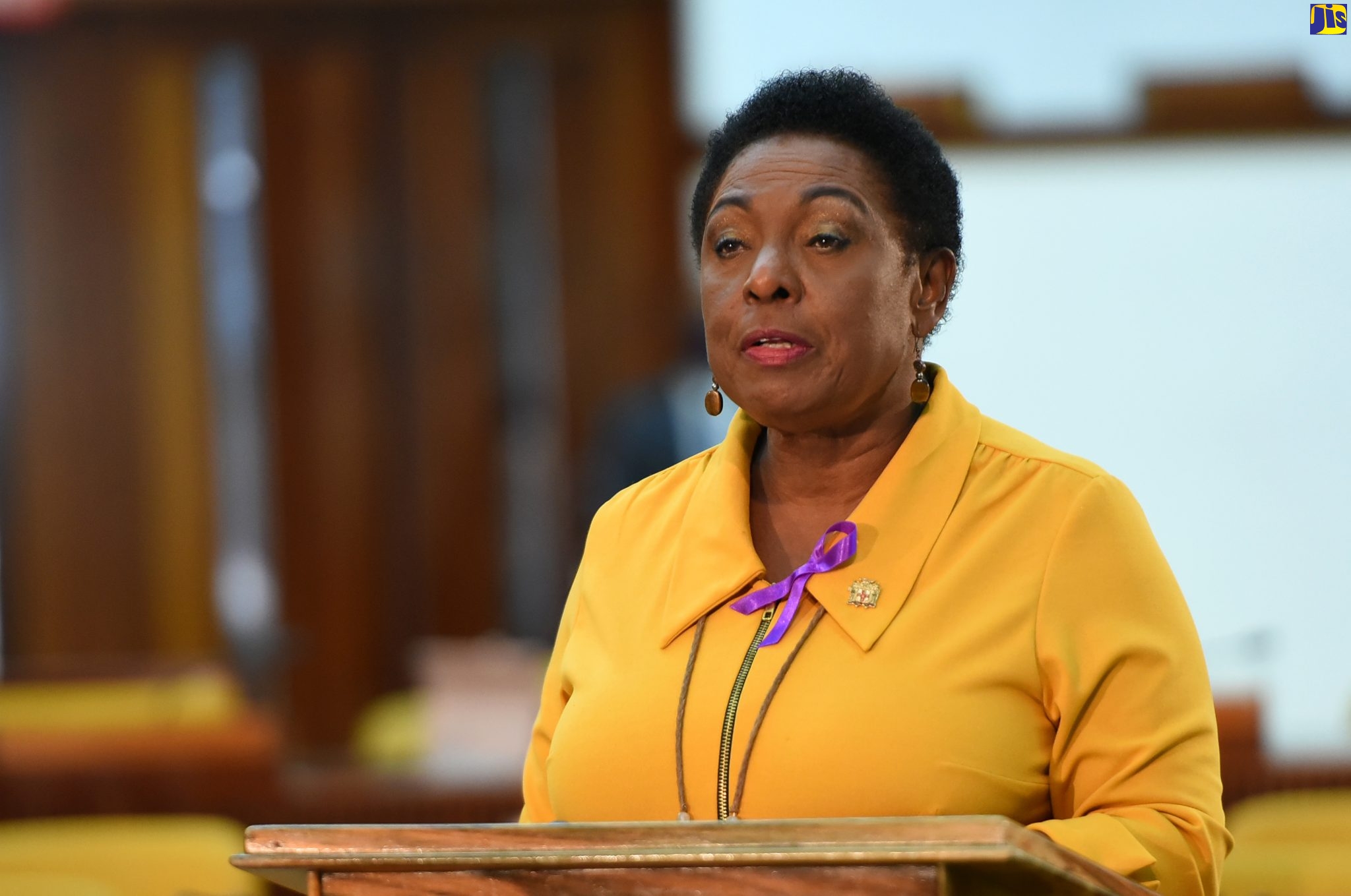 Minister of Culture, Gender, Entertainment and Sport, Hon. Olivia Grange, addresses the sitting of the House of Representatives at the Jamaica Conference Centre on November 24.