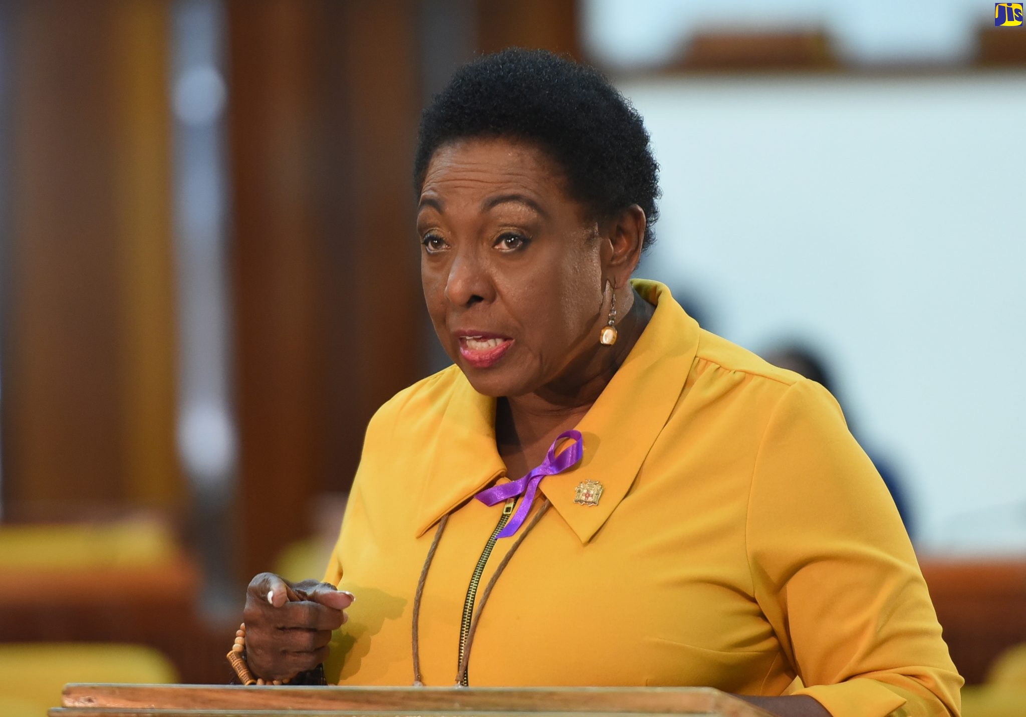 Minister of Culture, Gender, Entertainment and Sport, Hon. Olivia Grange, addresses the House of Representatives at the Jamaica Conference Centre in downtown Kingston, on November 24.
