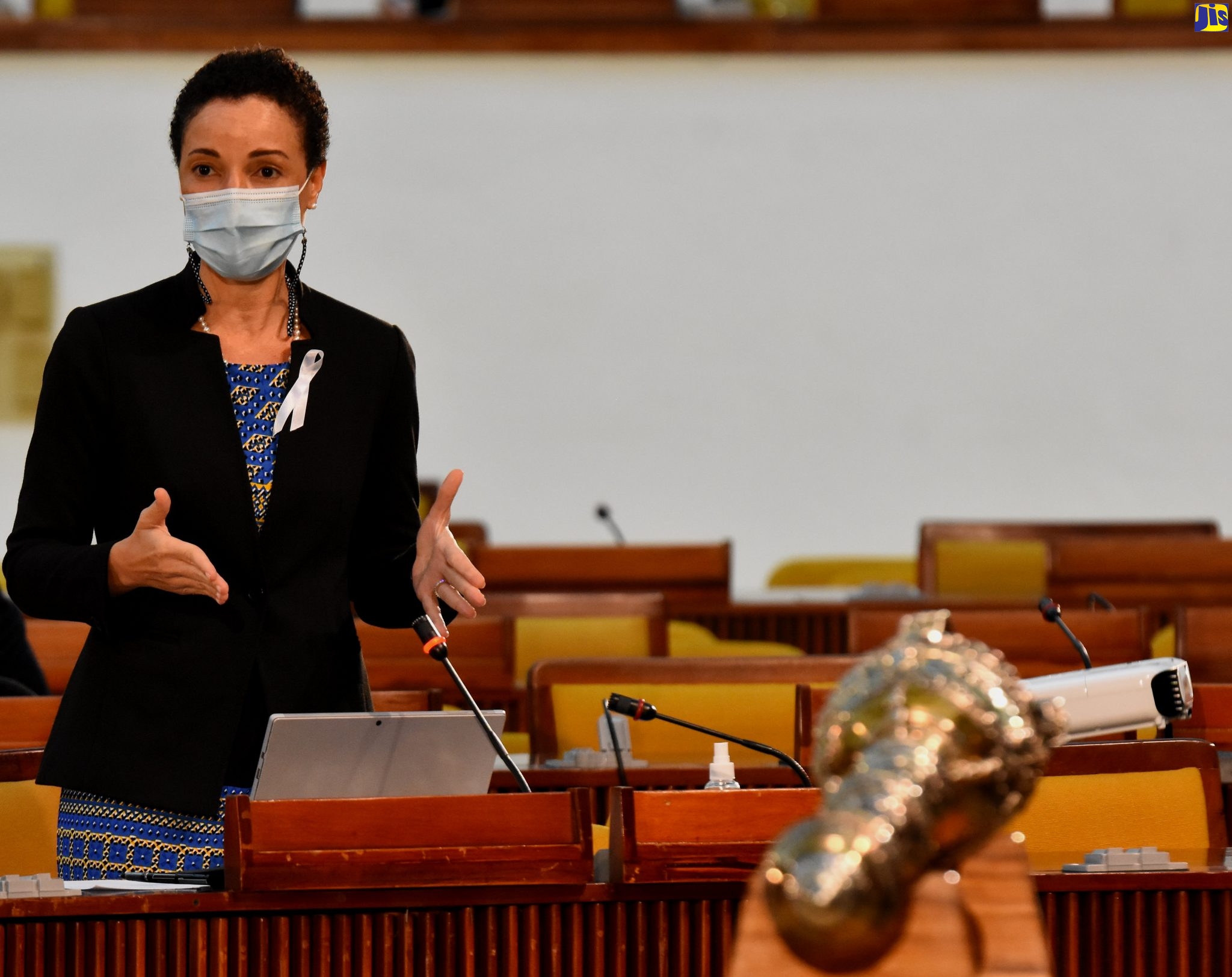Leader of Government Business in the Senate and Minister of Foreign Affairs and Foreign Trade, Senator the Hon. Kamina Johnson Smith, emphasises a point while addressing Friday's (November 20) sitting of the Senate.