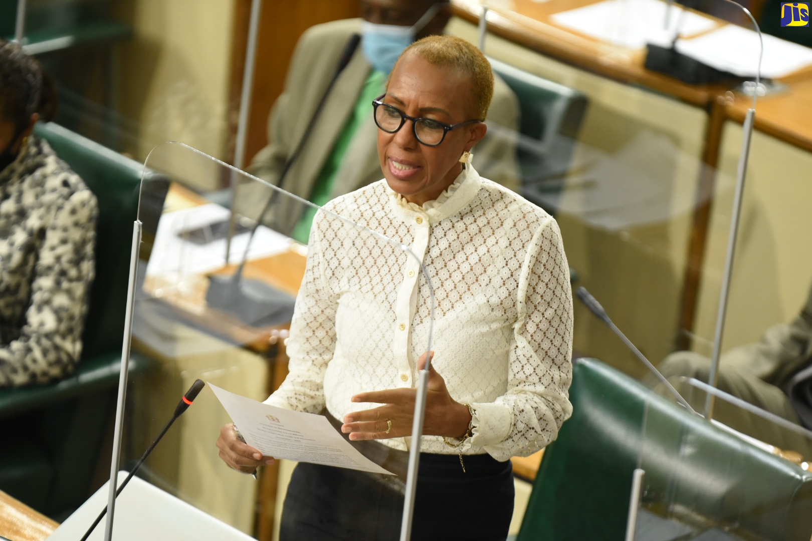 Education, Youth and Information Minister, Hon. Fayval Williams, addresses the sitting of the House of Representatives on Tuesday (December 8).