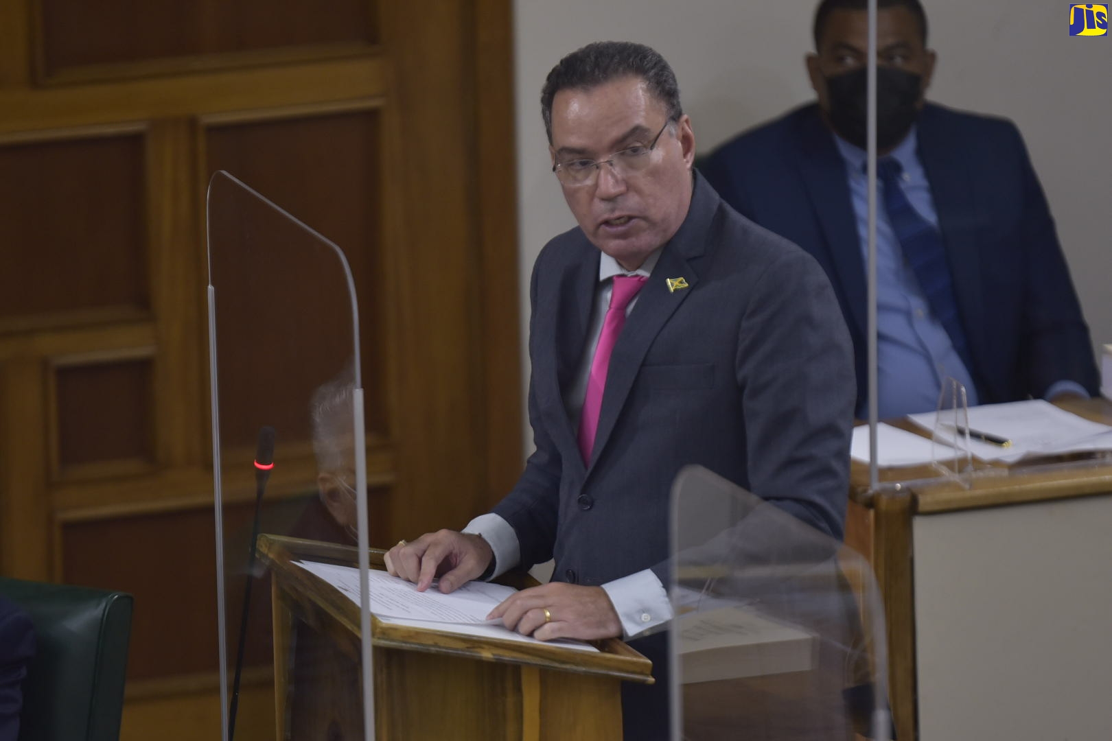 Minister of Science, Energy and Technology, Hon. Daryl Vaz, addresses the House of Representatives on Tuesday (December 15).