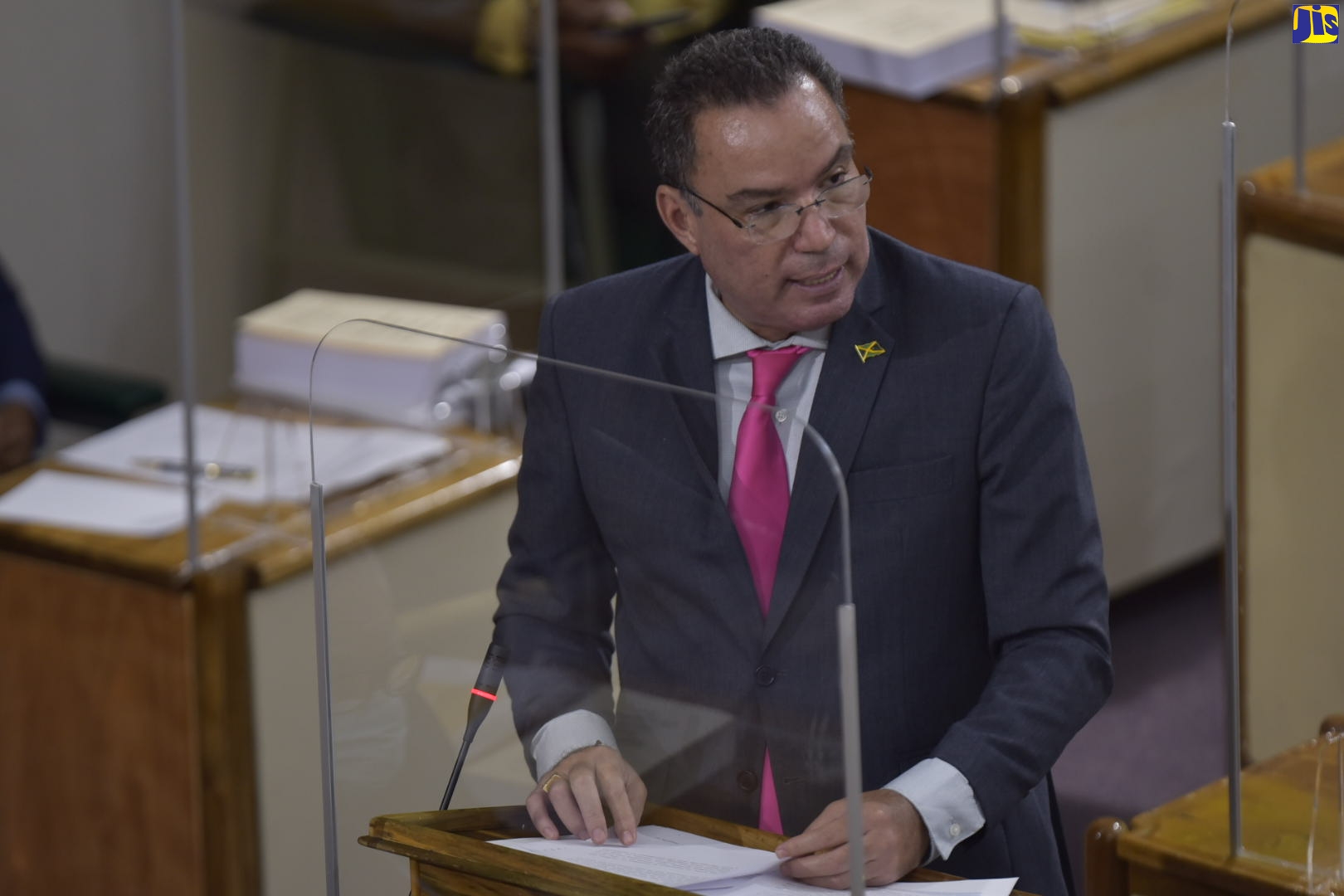 Minister of Science, Energy and Technology, Hon. Daryl Vaz, addressing the House of Representatives on Tuesday (December 15).