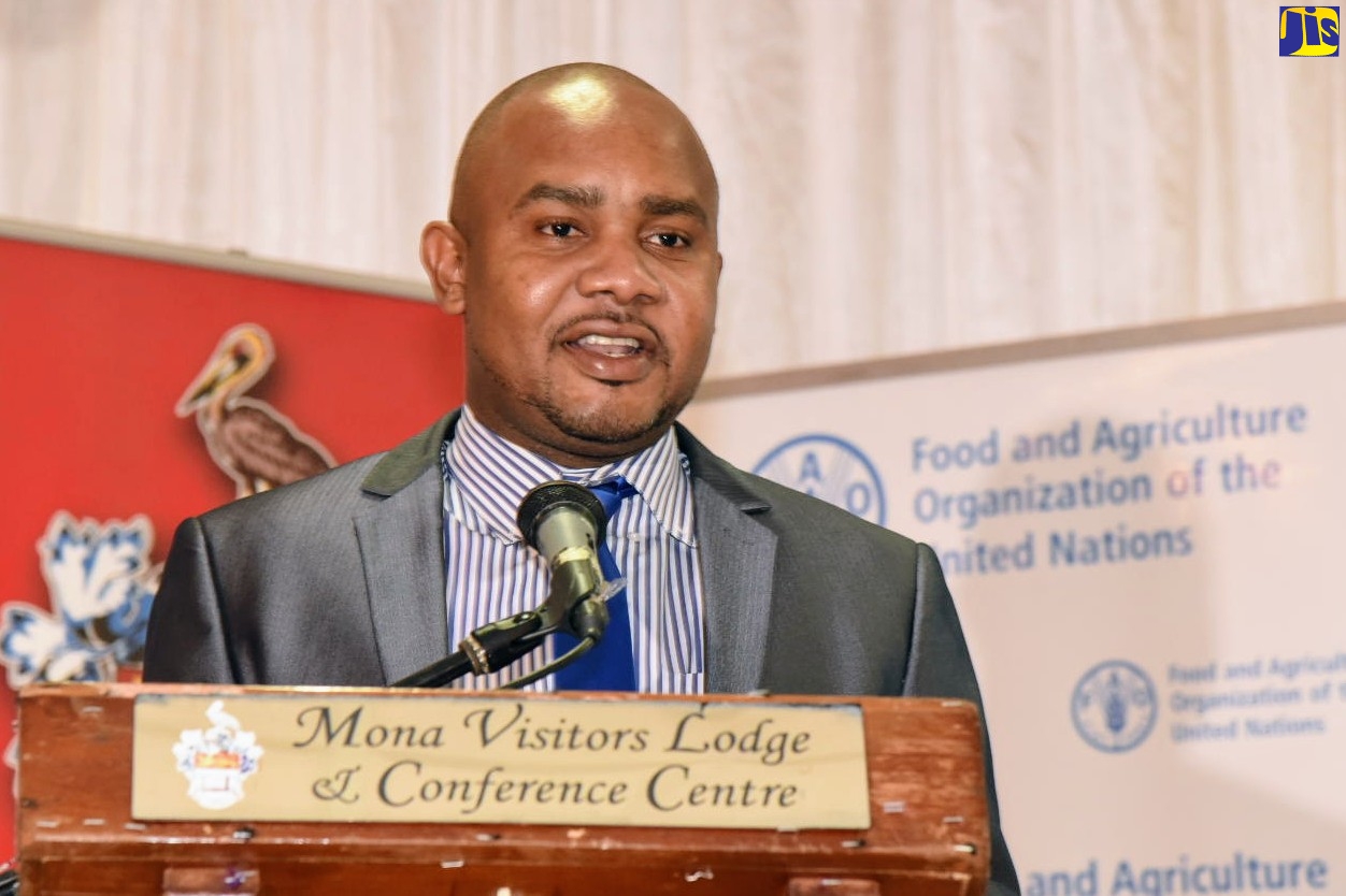 Director of Projects and Programmes, Micro, Small And Medium Enterprise (MSME) Division,  Ministry of Industry, Investment and Commerce, Clifford Spencer.