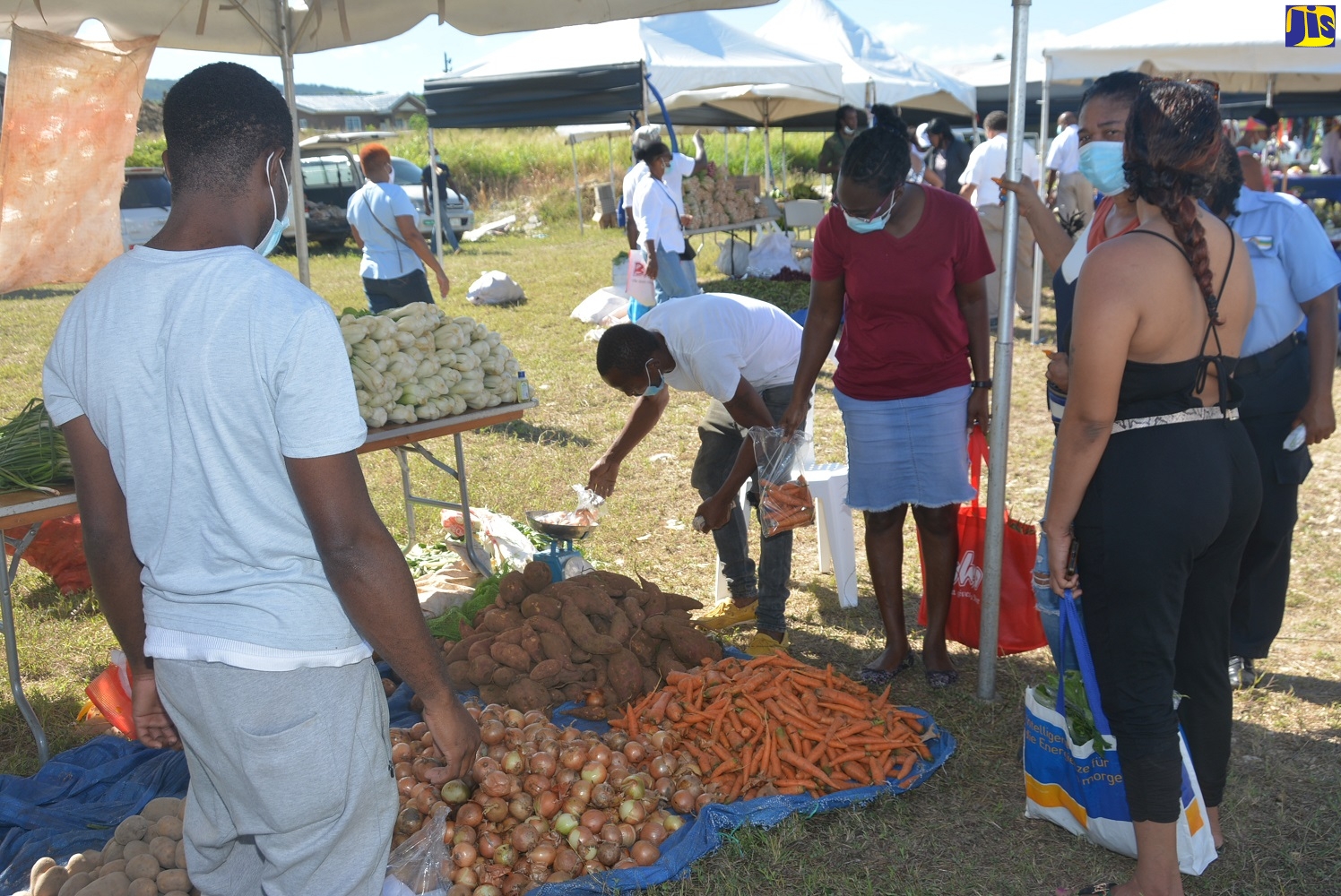 Small Farmers And Business Operators In St. James Benefit From SDC Community Fair