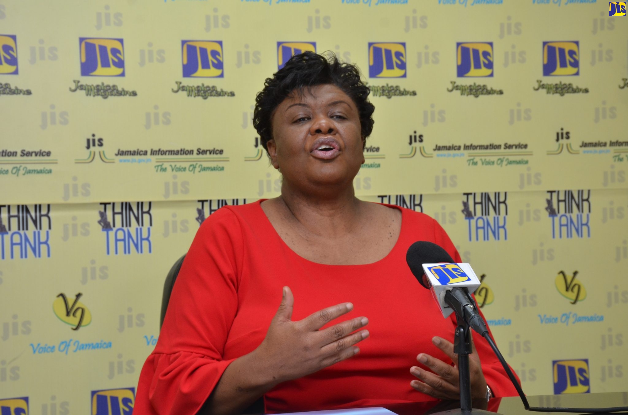 Consumer Affairs Commission Chief Executive Officer, Dolsie Allen, speaking during a Jamaica Information Service (JIS) Think Tank session on December 11.