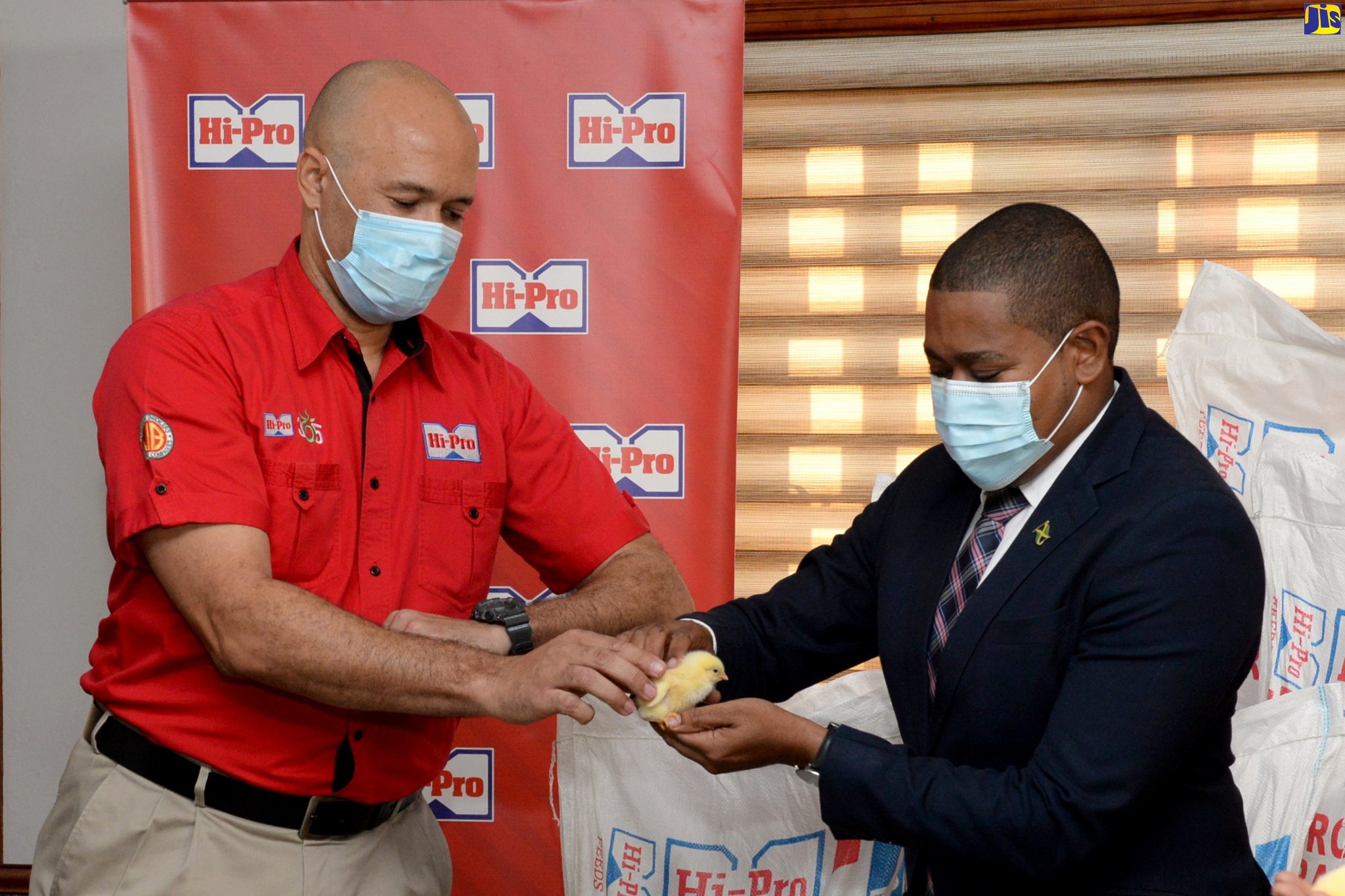 Minister of Agriculture and Fisheries, Hon. Floyd Green (right), pets a chick handed to him by Vice President, Hi-Pro Division, Jamaica Broilers Group of Companies, Colonel Jaimie Ogilvie (ret’d) during the handover of input supplies to farmers at the Jamaica Broilers Limited headquarters in McCook’s Pen, St. Catherine, on December 16. The company donated 20,000 baby chicks and 1,000 bags of broiler ration to farmers who were affected by flood damage.