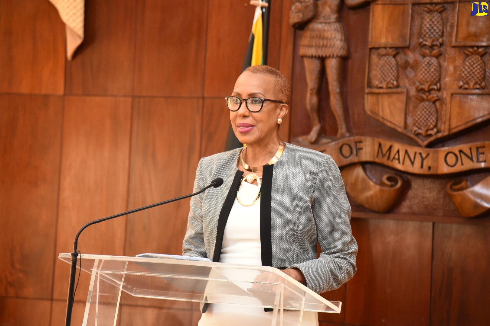 Minister of Education, Youth and Information, Hon. Fayval Williams, addressing Wednesday