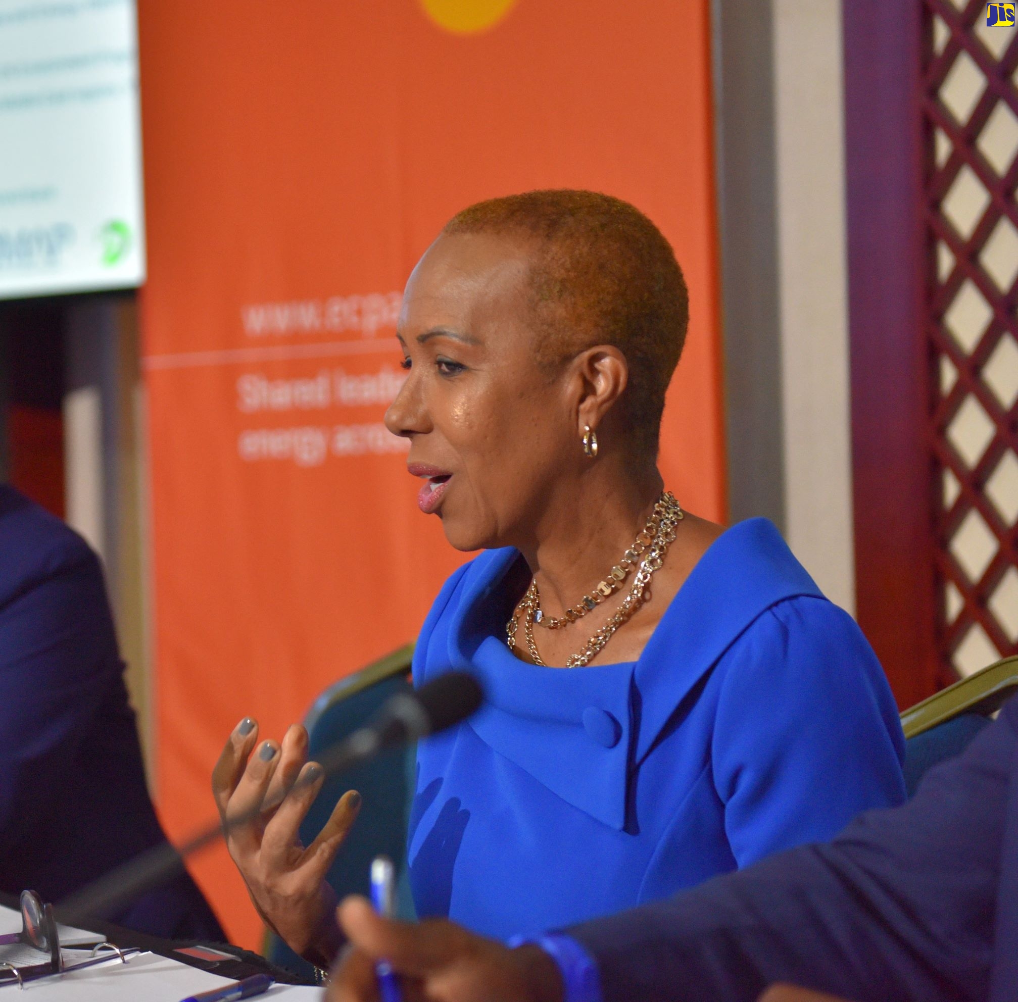 Minister of Education, Youth and Information , Hon. Fayval Williams.