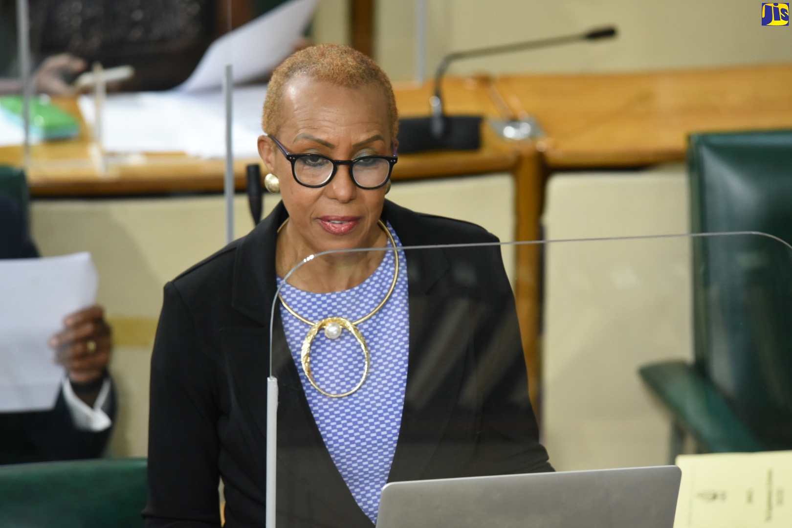 Minister of Education, Youth and Information, Hon. Fayval Williams, speaks in the House of Representatives, on Tuesday  (January 26).