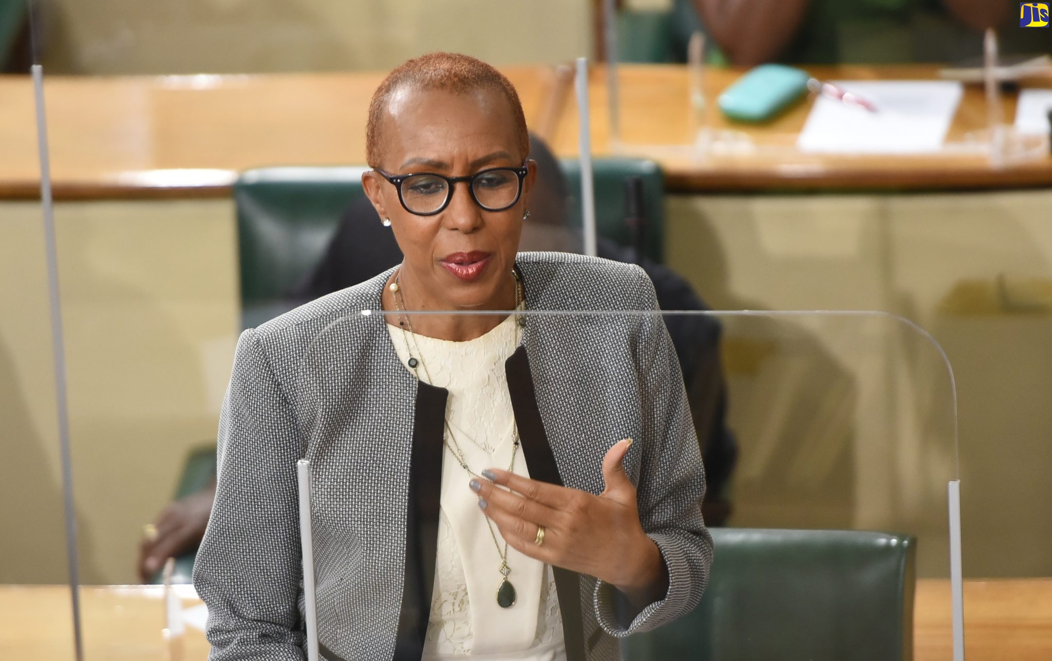 Minister of Education Youth and Information, Hon. Fayval Williams, speaking during the sitting of the House of Representatives on January 12.