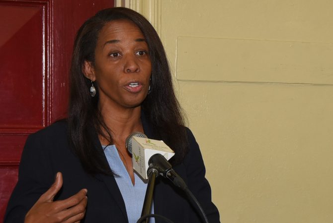 Virtual Town Hall On Beach Access Policy February 2