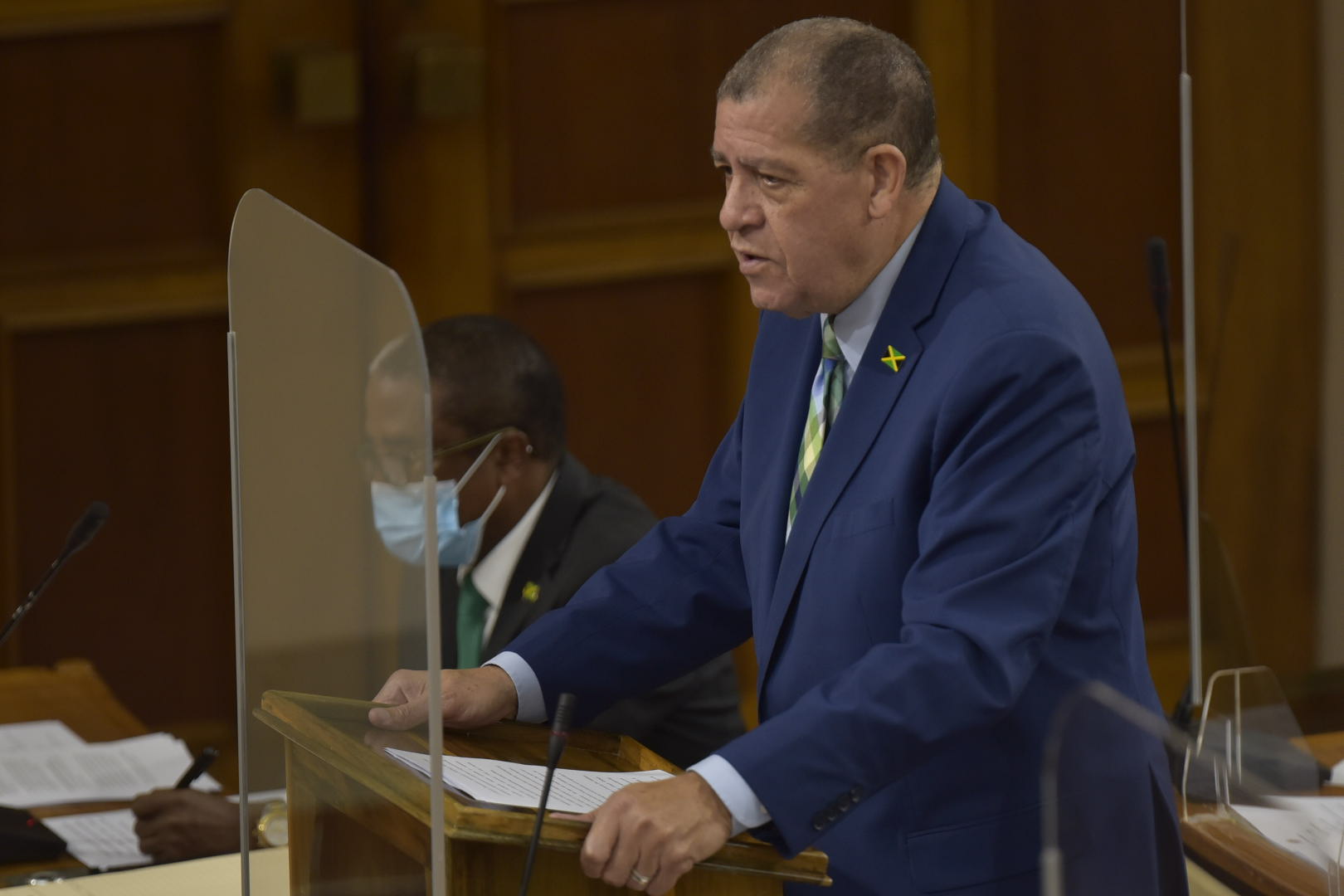 Minister of Industry, Investment and Commerce, Hon. Audley Shaw, speaking during the sitting of the House of Representatives on Tuesday (February 2).

 