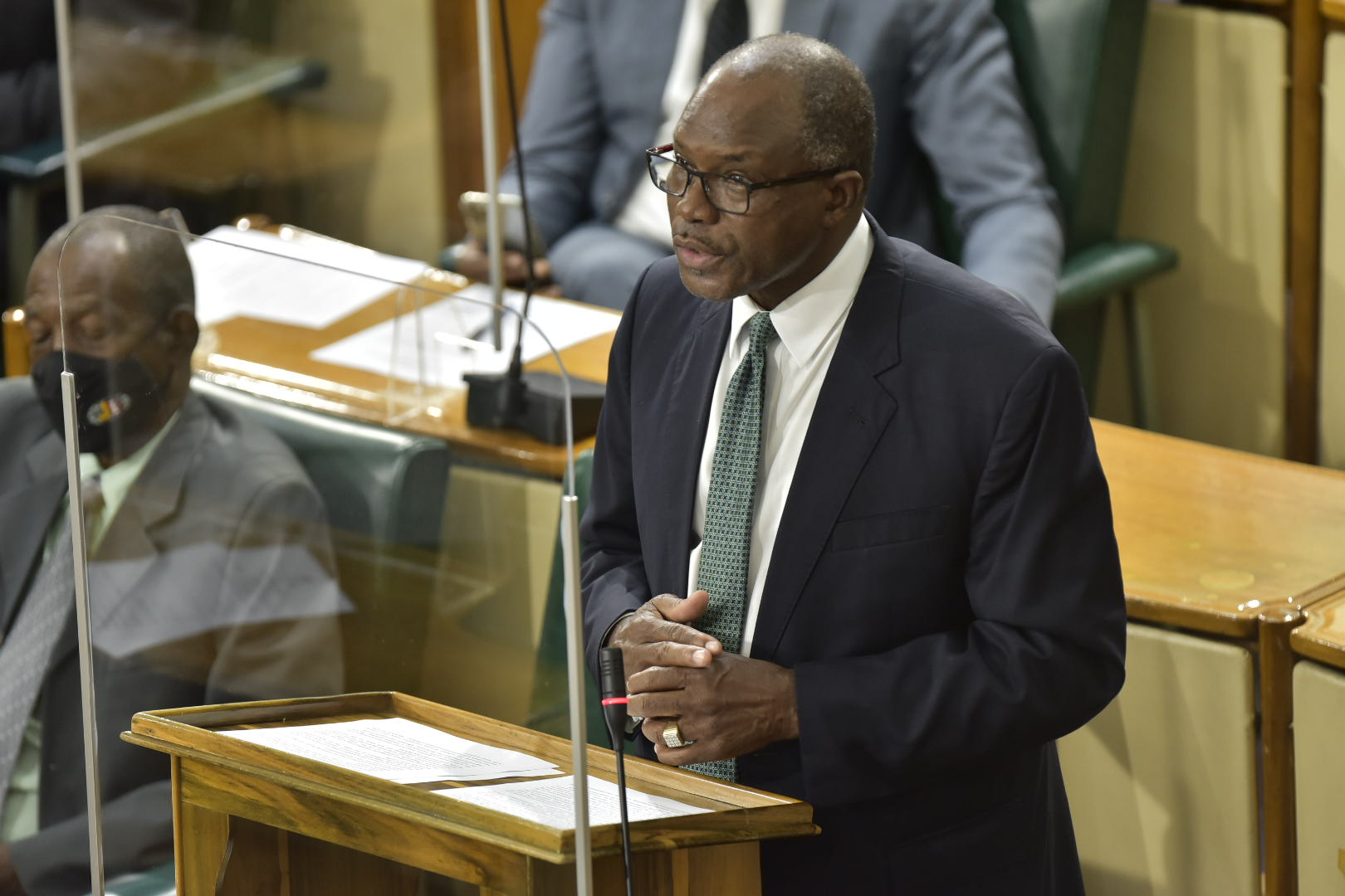 Minister without Portfolio in the Ministry of Economic Growth and Job Creation, Hon. Everald Warmington, speaks in the House of Representatives on Tuesday (February 2).