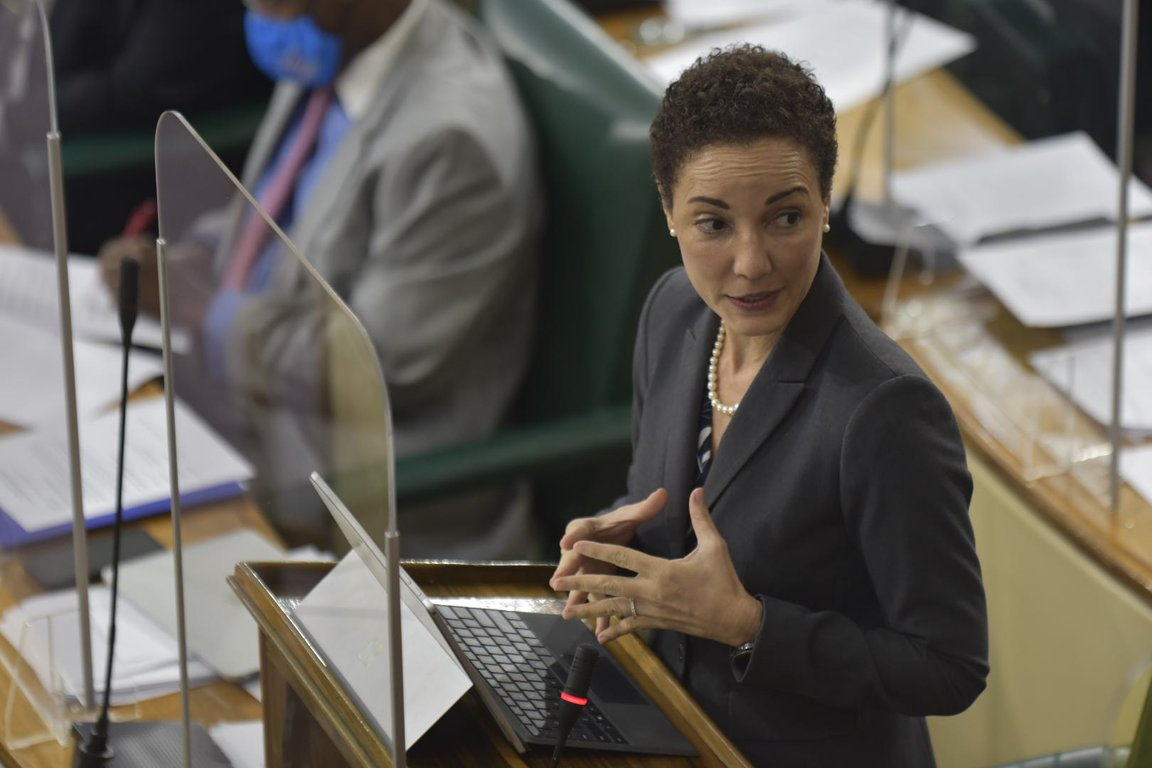 Minister of Foreign Affairs and Foreign Trade, Senator the Hon. Kamina Johnson Smith, makes a statement during the sitting of the Senate on February 12.