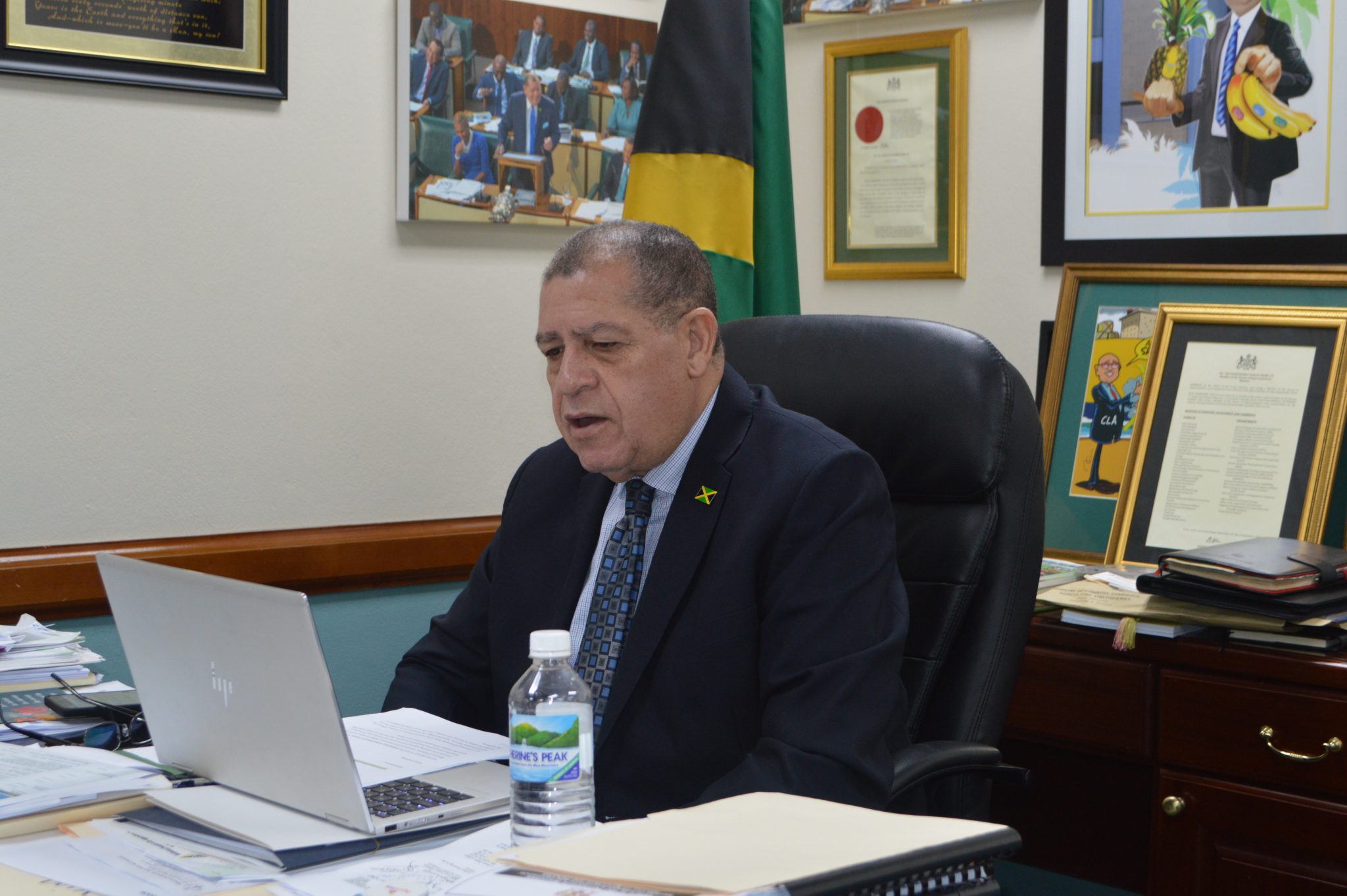 Newly Formed Council Urged To Drive Quality In Jamaica