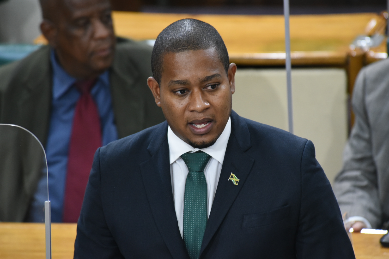 Minister of Agriculture and Fisheries, Hon. Floyd Green, addressing the House of Representatives on February 9.

