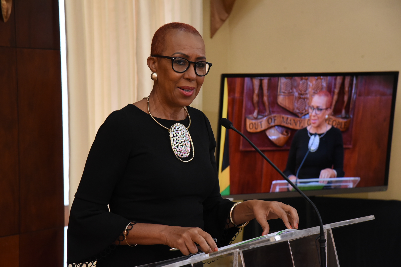 Minister of Education, Youth and Information,  Hon. Fayval Williams, delivers her address during a Post Cabinet Press Briefing held at Jamaica House on Wednesday (February 3).

