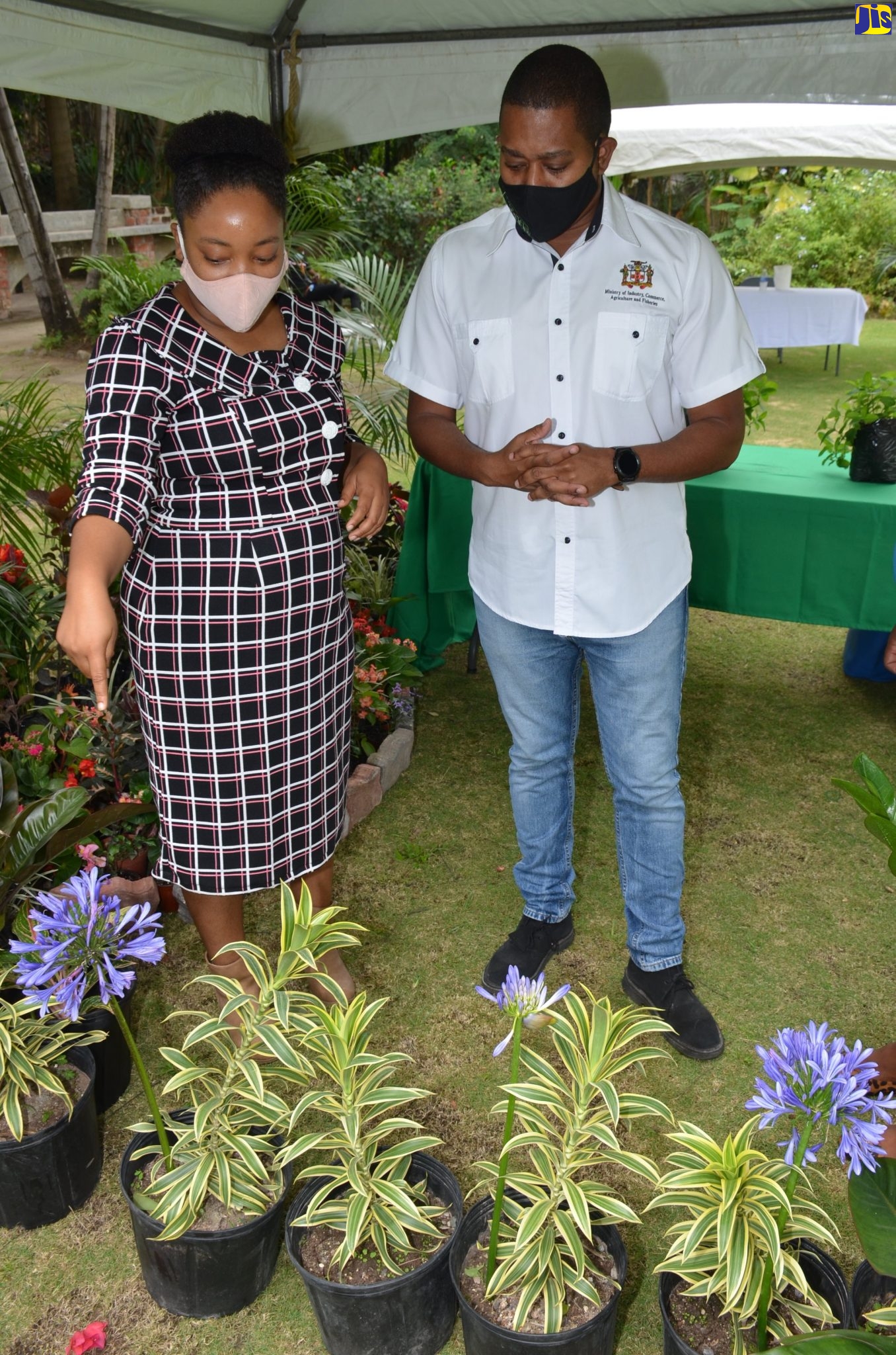 Public Botanical Gardens Being Improved