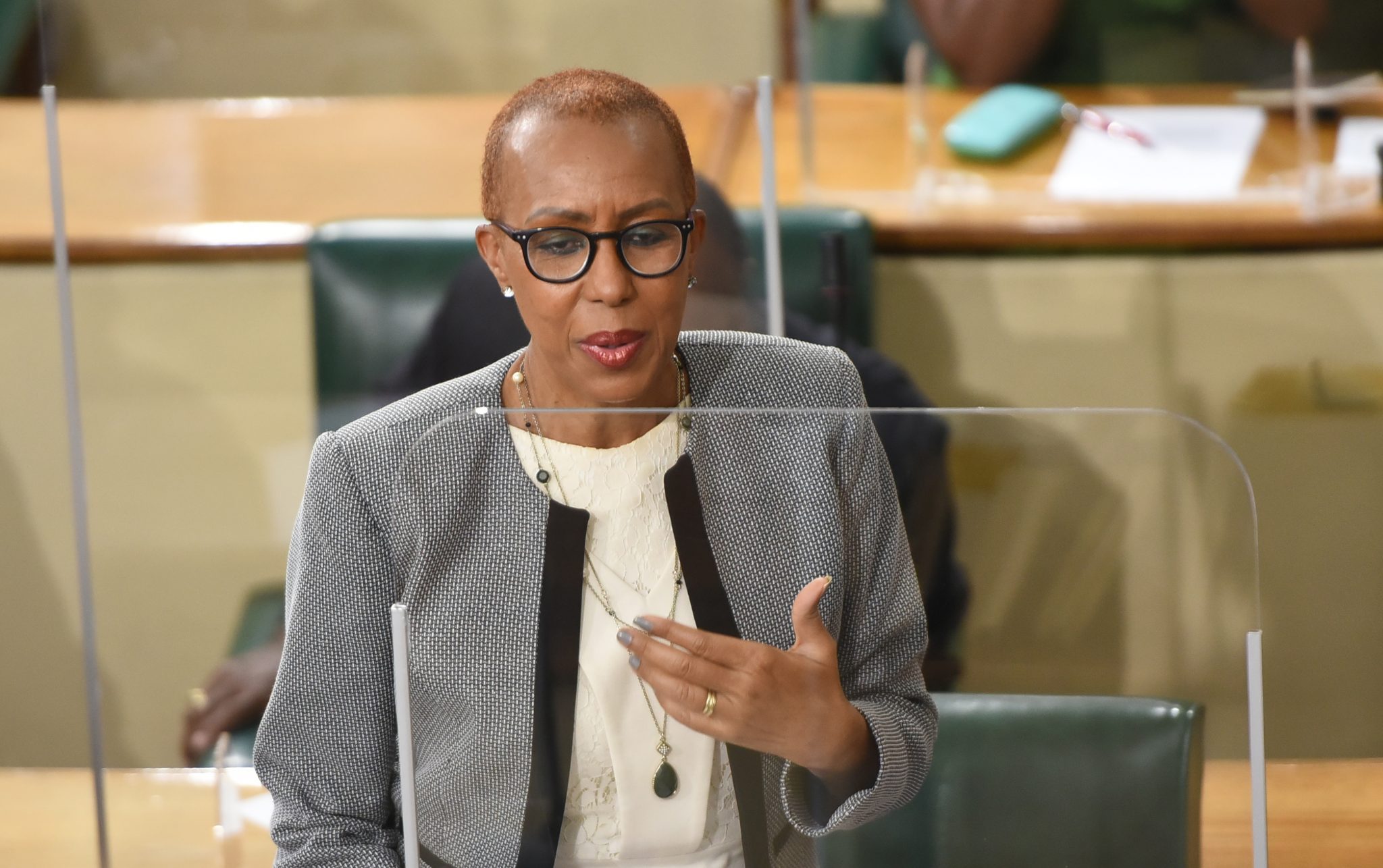 Minister of Education,Youth and Information, Hon. Fayval Williams. (JIS File Photo)
