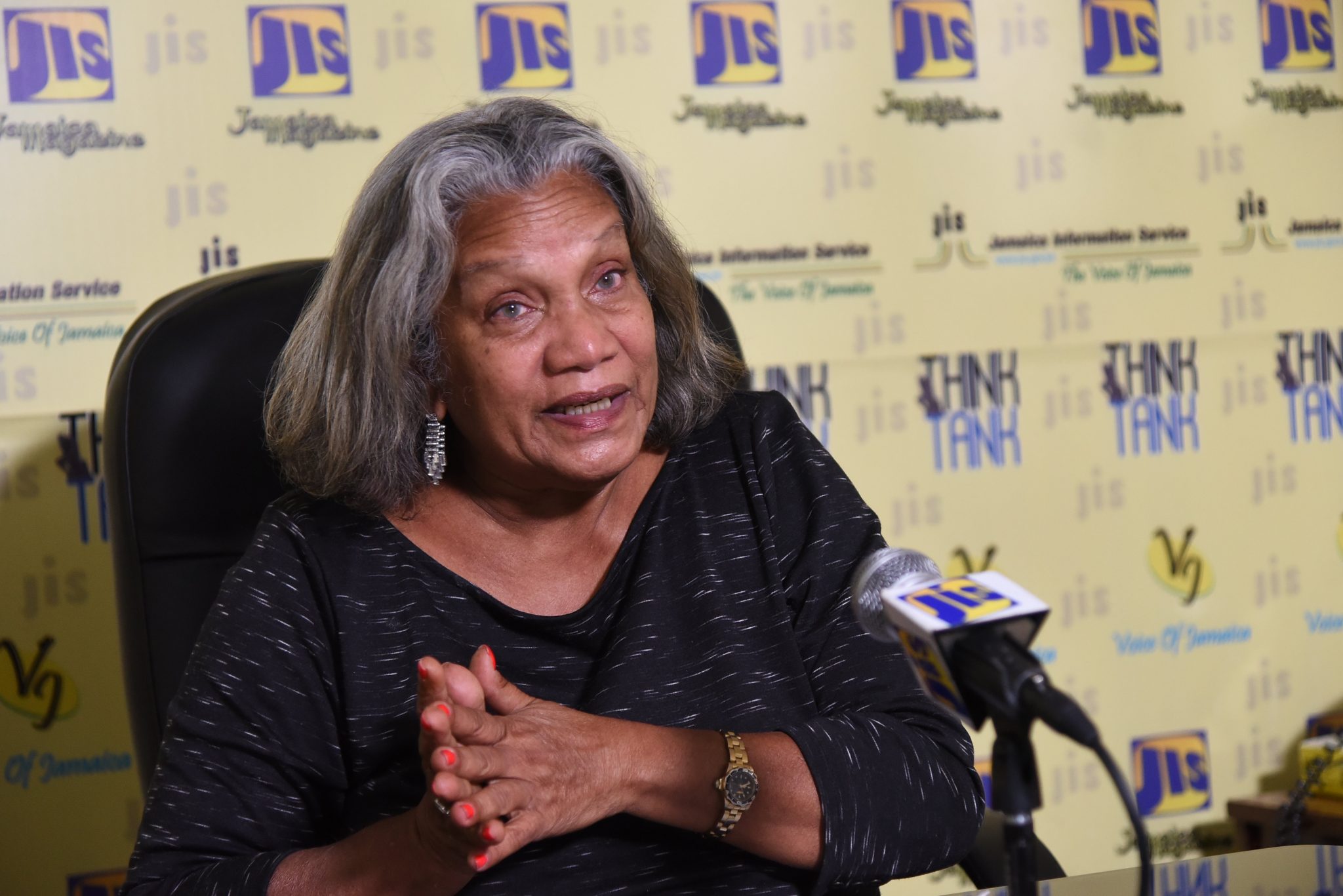 Public Defender Calls On Jamaicans To Pay Keen Attention To Campaign Messages