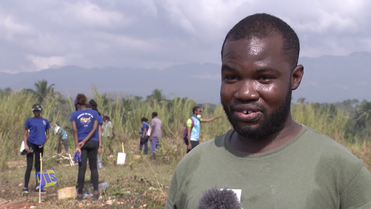 Plant a tree sustain a life