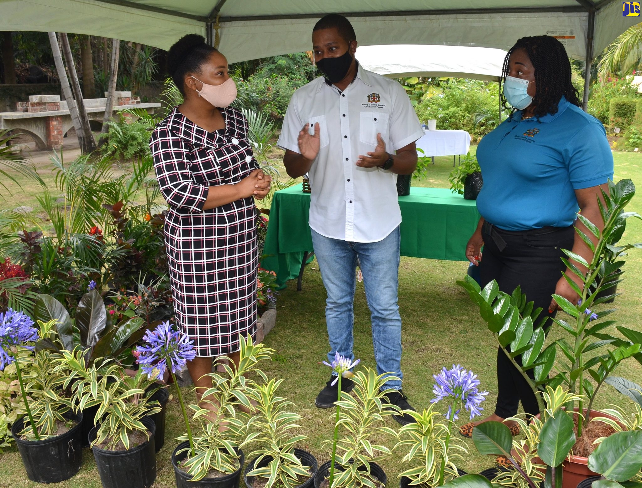 Public Botanical Gardens Being Improved