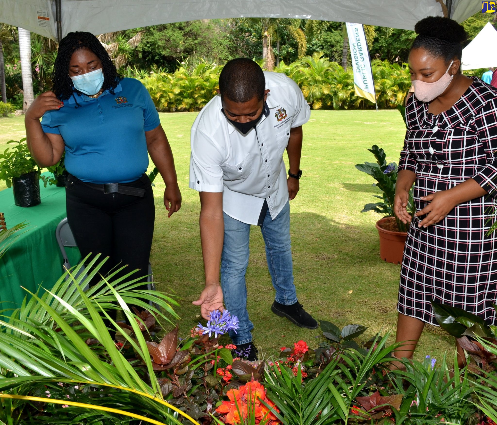 Public Botanical Gardens Being Improved