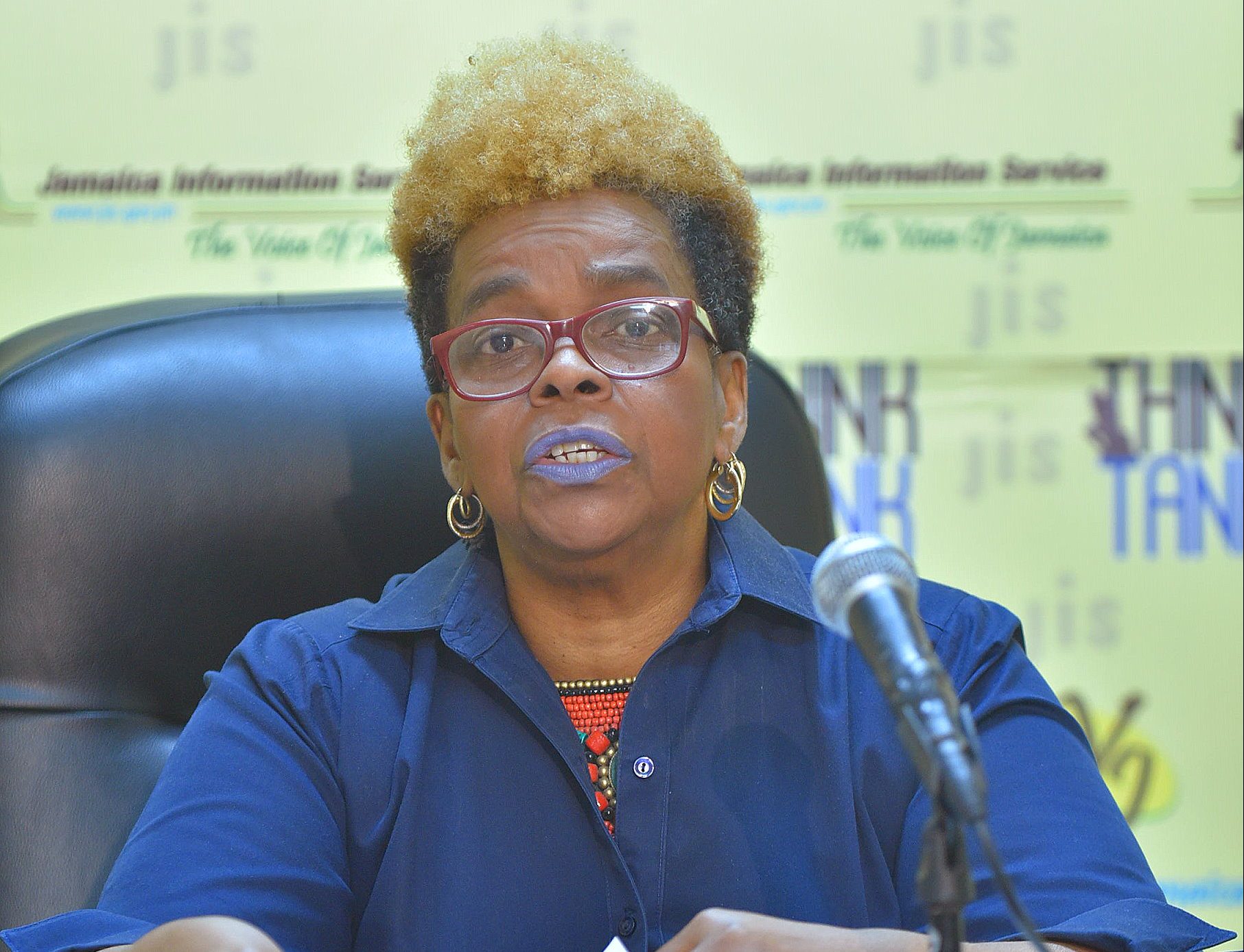 Executive Director of the Citizen Security Secretariat , Dianne McIntosh, speaks at a Jamaica Information Service (JIS) ‘Think Tank’, on March 2.


