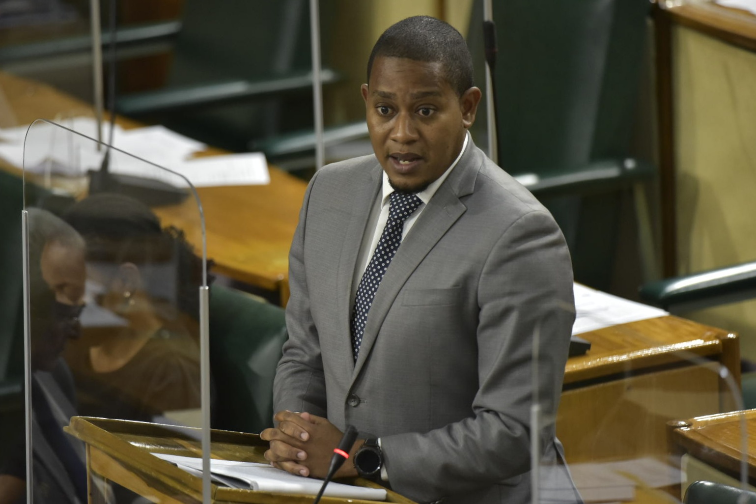 Minister of Agriculture and Fisheries, Hon. Floyd Green, addresses the House of Representatives on April 13.

