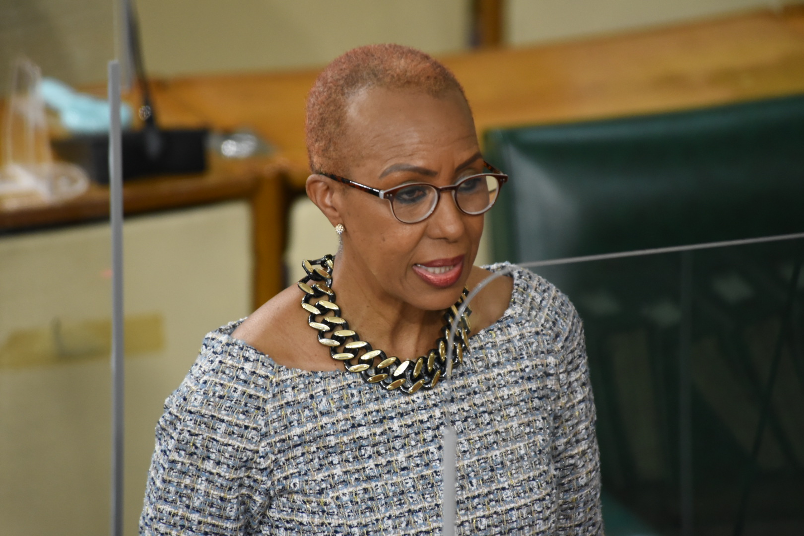 Minister of Education, Youth and Information, Hon. Fayval Williams, speaking during her contribution to the 2021/22 Sectoral Debate in the House of Representatives on April 28.

