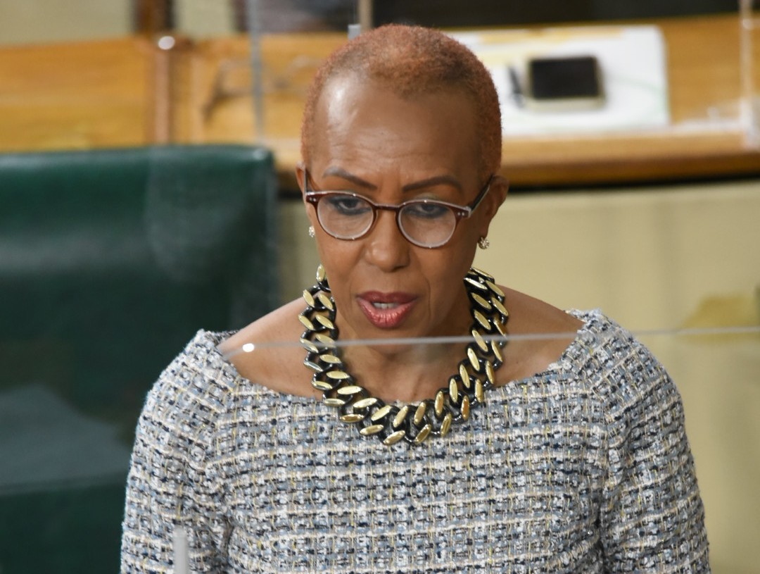 Education, Youth and Information Minister, Hon. Fayval Williams, making her 2021/22 Sectoral Debate presentation in the House of Representatives on Wednesday (April 28).

