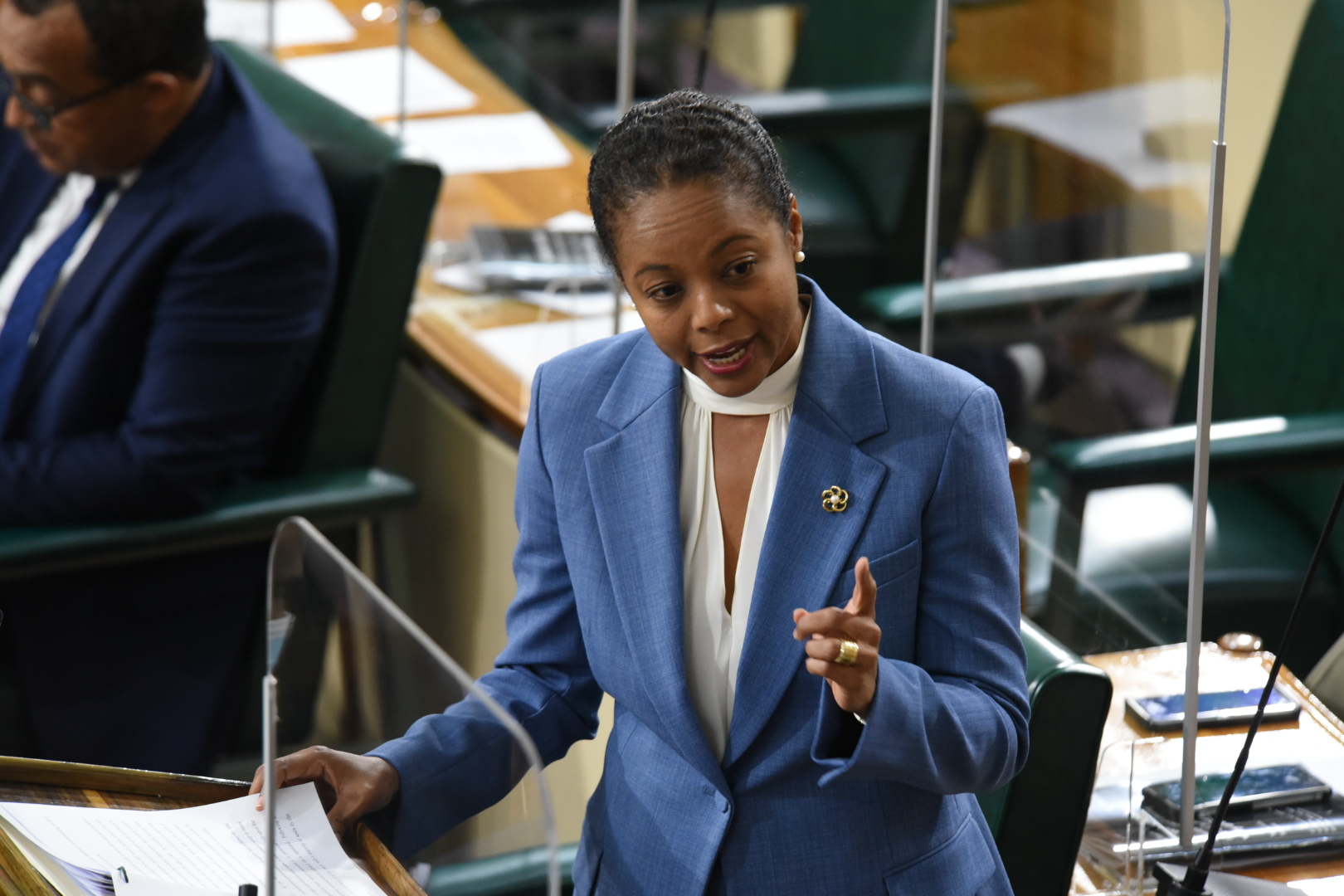 Attorney General, Marlene Malahoo Forte, makes her presentation in  the 2021/22 Sectoral Debate in the House of Representatives on April 28.

