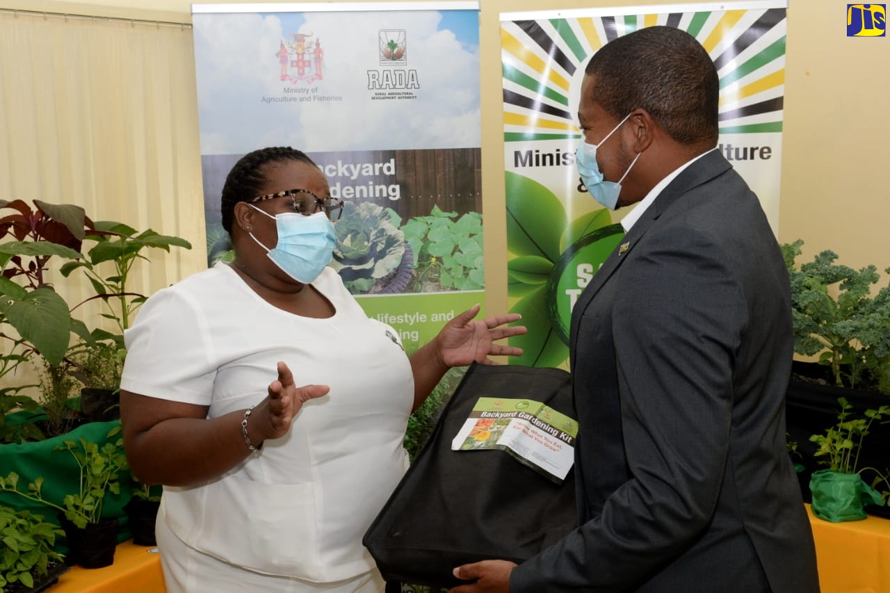 More Than 400 Kits Distributed Under Backyard Garden Project