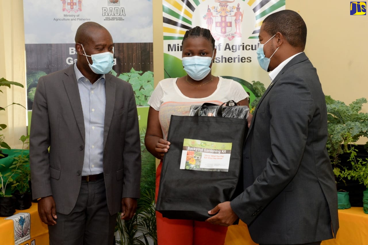 More Than 400 Kits Distributed Under Backyard Garden Project